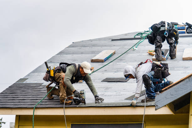 Professional Gutter Installation technician working in Maury City, TN